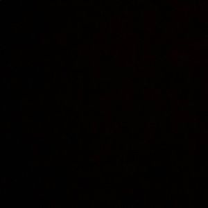 Meet your Posher, Fred